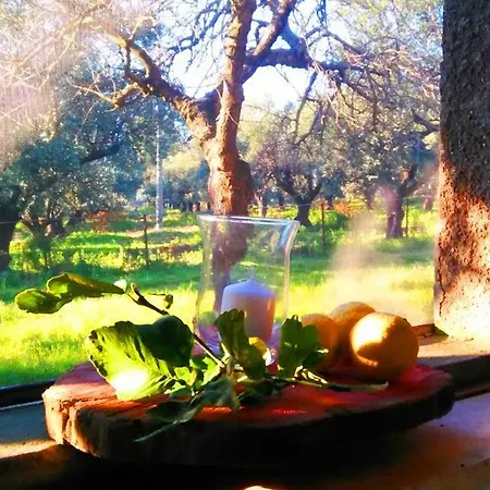Agriturismo Torre Dei Cavalieri Farmház